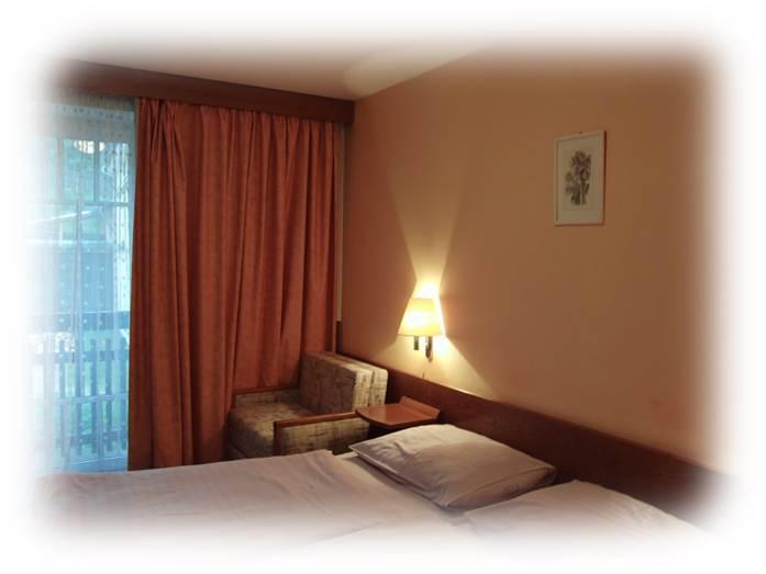 Hotel Prom Svoboda nad Úpou Camera foto